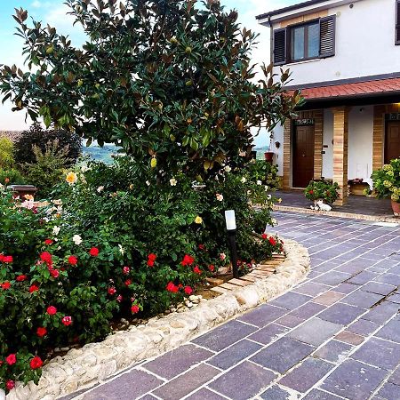 La Vigna Di Ranco Agriturismo Paglieta 외부 사진